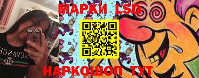 дмт Краснодар